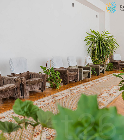 Санаторий «Альянс» г. Железноводск. Холл Санаторий «Альянс» г. Железноводск. Холл