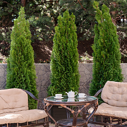 Cанаторий «Вернисаж» г. Кисловодск. Территория Cанаторий «Вернисаж» г. Кисловодск. Территория