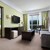 Санаторий «Плаза» г. Железноводск. Номер «Апартаменты президентские» Санаторий «Плаза» г. Железноводск. Номер «Апартаменты президентские»