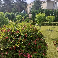 Пансионат «Звездный», внутренний сад Пансионат «Звездный», внутренний сад