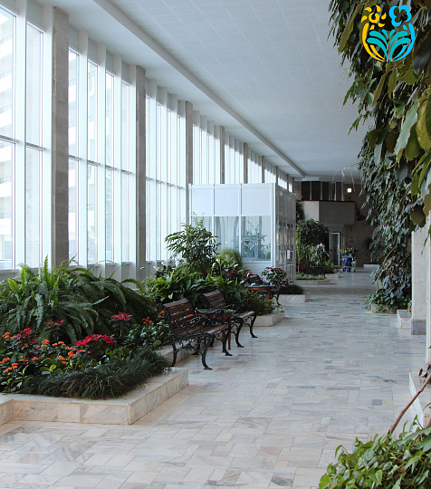 Санаторий «Горный Воздух» г. Железноводск. Зимний сад Санаторий «Горный Воздух» г. Железноводск. Зимний сад