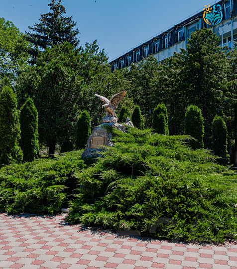 Санаторий «им. Анджиевского» г. Ессентуки. Территория Санаторий «им. Анджиевского» г. Ессентуки. Территория