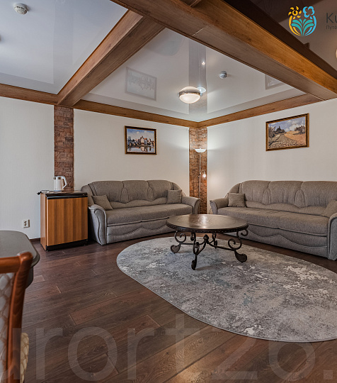 Санаторий «Эльбрус» Железноводск. Номер «Люкс» Санаторий «Эльбрус» Железноводск. Номер «Люкс»