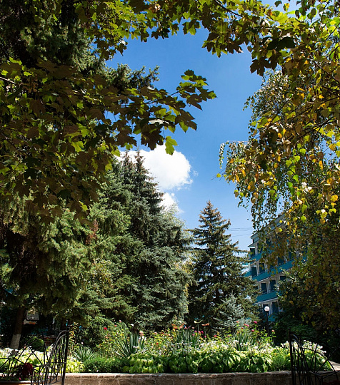 Санаторий «Эльбрус» Железноводск. Территория Санаторий «Эльбрус» Железноводск. Территория