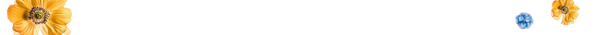 Акции санаториев и эксклюзивные скидки Курорт26.ру