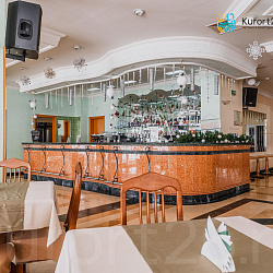 Санаторий «Долина Нарзанов» г. Кисловодск. Лобби-бар Санаторий «Долина Нарзанов» г. Кисловодск. Лобби-бар