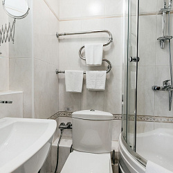 Санаторий «Славяновский исток», Железноводск. Номер «Стандарт» Санаторий «Славяновский исток», Железноводск. Номер «Стандарт»