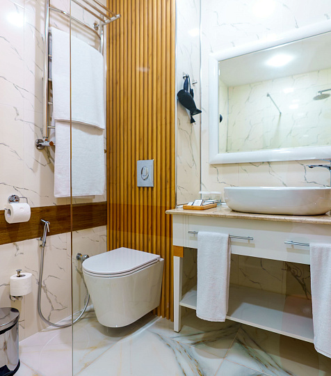 Санаторий «Парк Шафран» г. Ессентуки. Номер «Джуниор Сюит» Санаторий «Парк Шафран» г. Ессентуки. Номер «Джуниор Сюит»