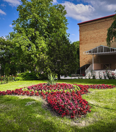 Санаторий «Лесной», Железноводск. Территория Санаторий «Лесной», Железноводск. Территория