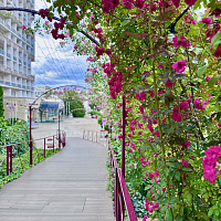 Санаторий «им. Димитрова» Кисловодск. Территория Санаторий «им. Димитрова» Кисловодск. Территория