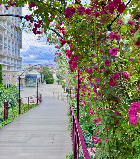 Санаторий «им. Димитрова» Кисловодск. Территория Санаторий «им. Димитрова» Кисловодск. Территория