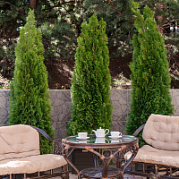 Cанаторий «Вернисаж» г. Кисловодск. Территория Cанаторий «Вернисаж» г. Кисловодск. Территория