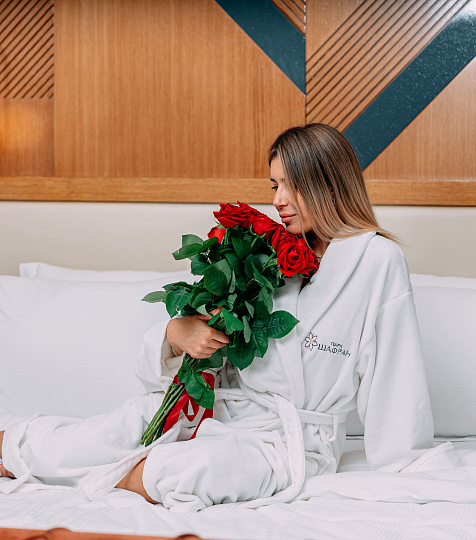 Санаторий «Парк Шафран» г. Ессентуки. Номера Санаторий «Парк Шафран» г. Ессентуки. Номера