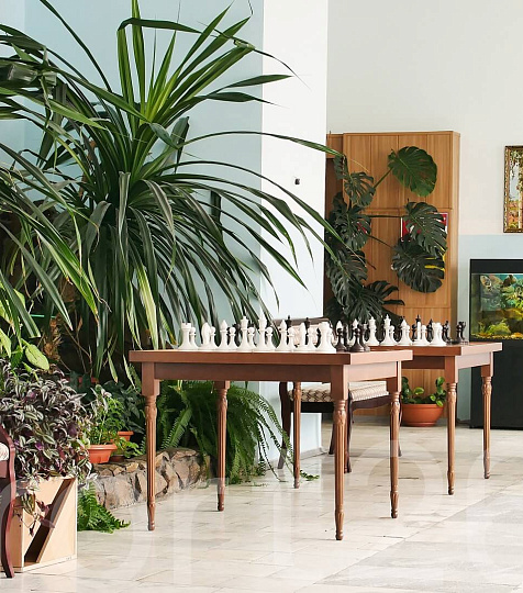 Санаторий «Зори Ставрополья», Пятигорск. Хона отдыха, шахматы Санаторий «Зори Ставрополья», Пятигорск. Хона отдыха, шахматы