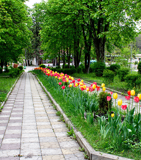 Пансионат с лечением «Геолог Казахстана», Железноводск. Территория Пансионат с лечением «Геолог Казахстана», Железноводск. Территория