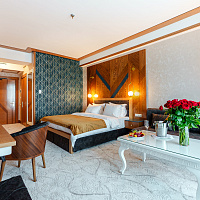 Санаторий «Парк Шафран» г. Ессентуки. Номер «Джуниор Сюит» Санаторий «Парк Шафран» г. Ессентуки. Номер «Джуниор Сюит»