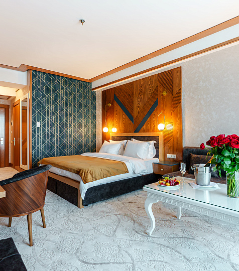 Санаторий «Парк Шафран» г. Ессентуки. Номер «Джуниор Сюит» Санаторий «Парк Шафран» г. Ессентуки. Номер «Джуниор Сюит»