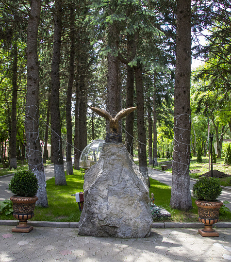 Пансионат с лечением «Геолог Казахстана» г. Железноводск Пансионат с лечением «Геолог Казахстана» г. Железноводск