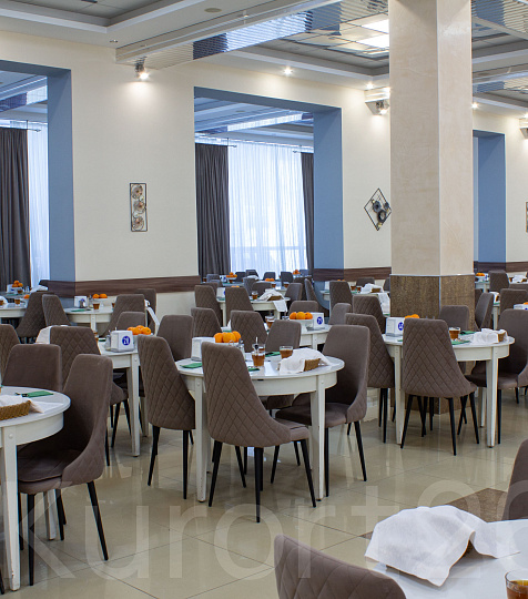 Санаторий «Металлург» г. Ессентуки. Столовая Санаторий «Металлург» г. Ессентуки. Столовая