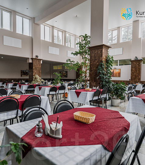 Санаторий «им. академика И. П. Павлова» г. Ессентуки. Столовая Санаторий «им. академика И. П. Павлова» г. Ессентуки. Столовая