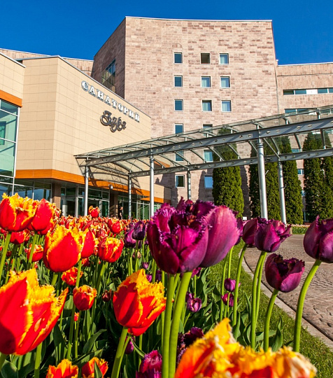 Санаторий «Заря» г. Кисловодск Санаторий «Заря» г. Кисловодск