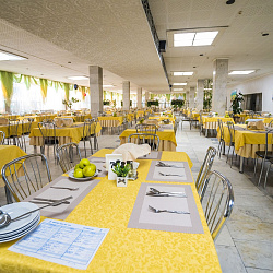 Санаторий «Зори Ставрополья», Пятигорск. Столовая Санаторий «Зори Ставрополья», Пятигорск. Столовая