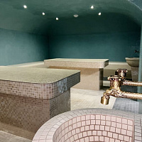 Санаторий «Дворец нарзанов» г. Кисловодск. Термальный комплекс Санаторий «Дворец нарзанов» г. Кисловодск. Термальный комплекс