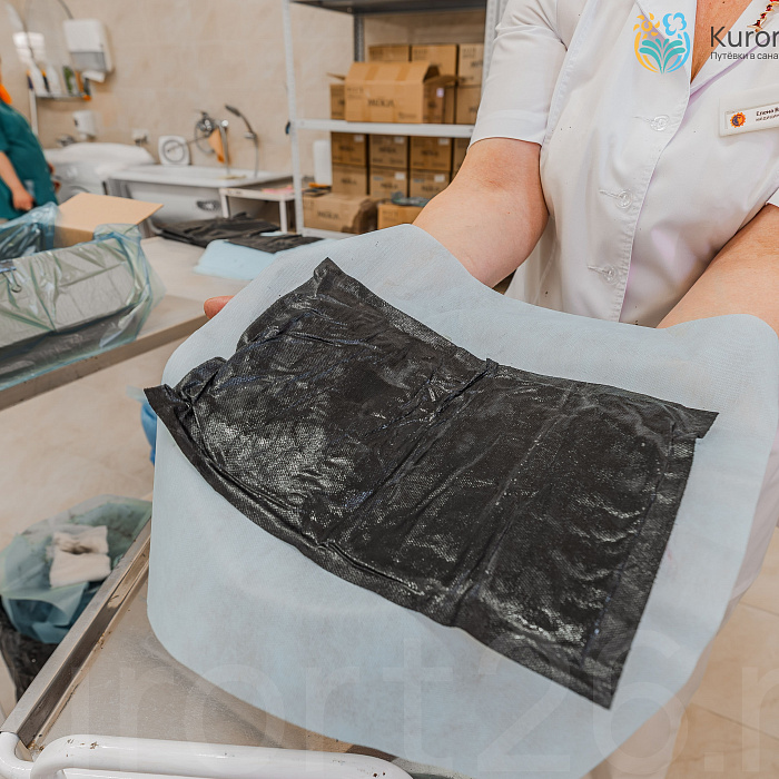 Санаторий «Джинал» г. Кисловодск. Грязелечение Санаторий «Джинал» г. Кисловодск. Грязелечение