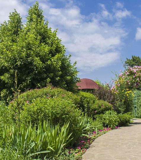 Санаторий «Кругозор» территория Санаторий «Кругозор» территория