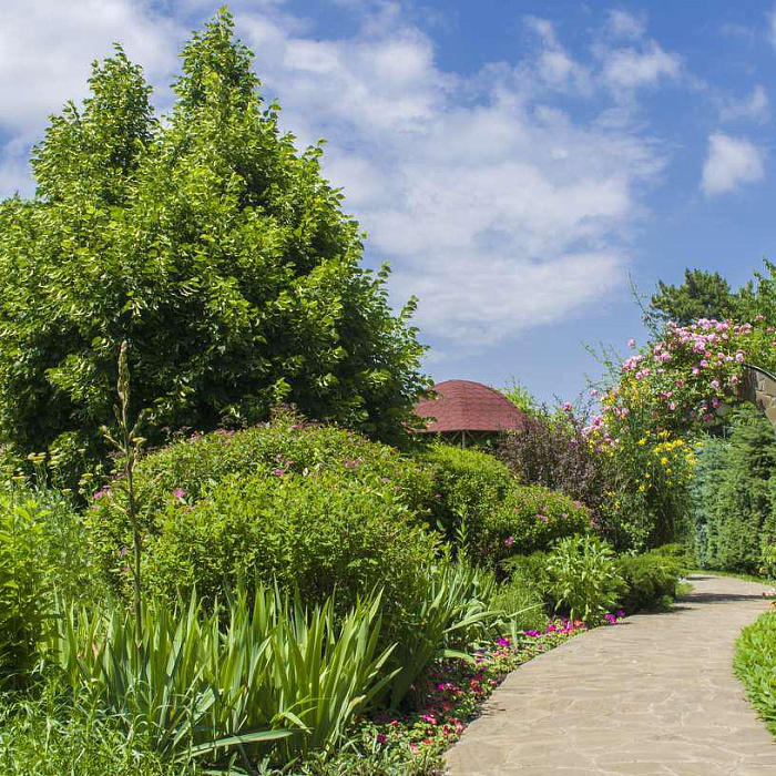 Санаторий «Кругозор» территория Санаторий «Кругозор» территория
