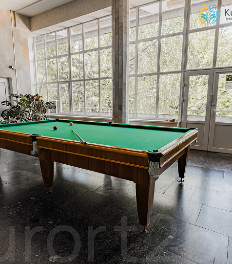 Санаторий «Бештау» г. Железноводск. Бильярд Санаторий «Бештау» г. Железноводск. Бильярд