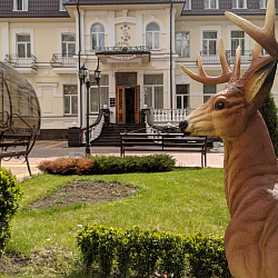 Санаторий «Белая дача» г. Кисловодск. Территория Санаторий «Белая дача» г. Кисловодск. Территория