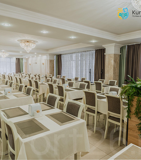 Санаторий «Елизавета—Минеральные Воды», г. Железноводск. Столовая Санаторий «Елизавета—Минеральные Воды», г. Железноводск. Столовая