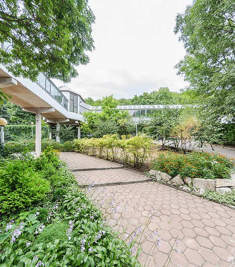 Санаторий «Родник» Пятигорск. Тёплый переход Санаторий «Родник» Пятигорск. Тёплый переход