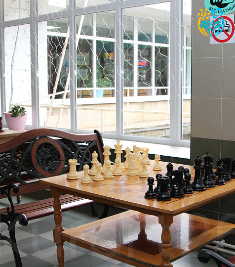 Санаторий «Лесная поляна», Пятигорск. Зона отдыха, игра в шахматы Санаторий «Лесная поляна», Пятигорск. Зона отдыха, игра в шахматы