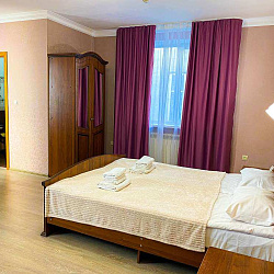 Санаторий «Вертебра» г. Кисловодск. Номер Делюкс Санаторий «Вертебра» г. Кисловодск. Номер Делюкс