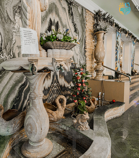 Санаторий «Пятигорский нарзан» г. Пятигорск. Холл Санаторий «Пятигорский нарзан» г. Пятигорск. Холл