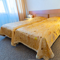 Санаторий «Виктория» г. Ессентуки. Люкс двухместный двухкомнатный, корпус 2 Санаторий «Виктория» г. Ессентуки. Люкс двухместный двухкомнатный, корпус 2