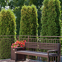 Cанаторий «Вернисаж» г. Кисловодск. Территория Cанаторий «Вернисаж» г. Кисловодск. Территория